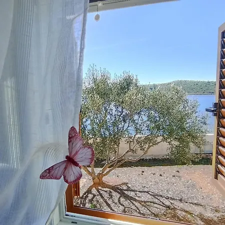 House Sea Laguna Tkon